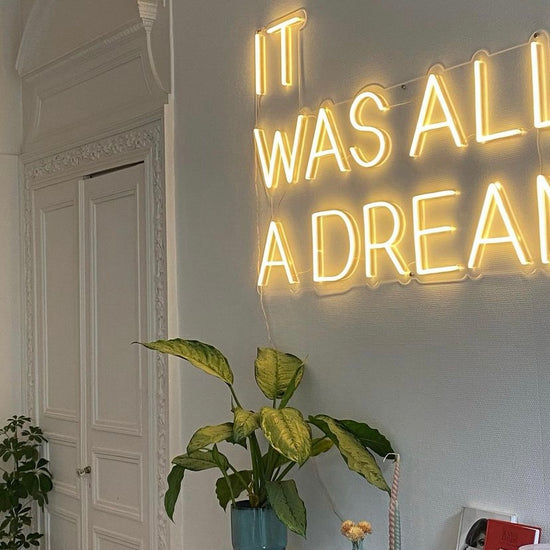 neon it was all a dream