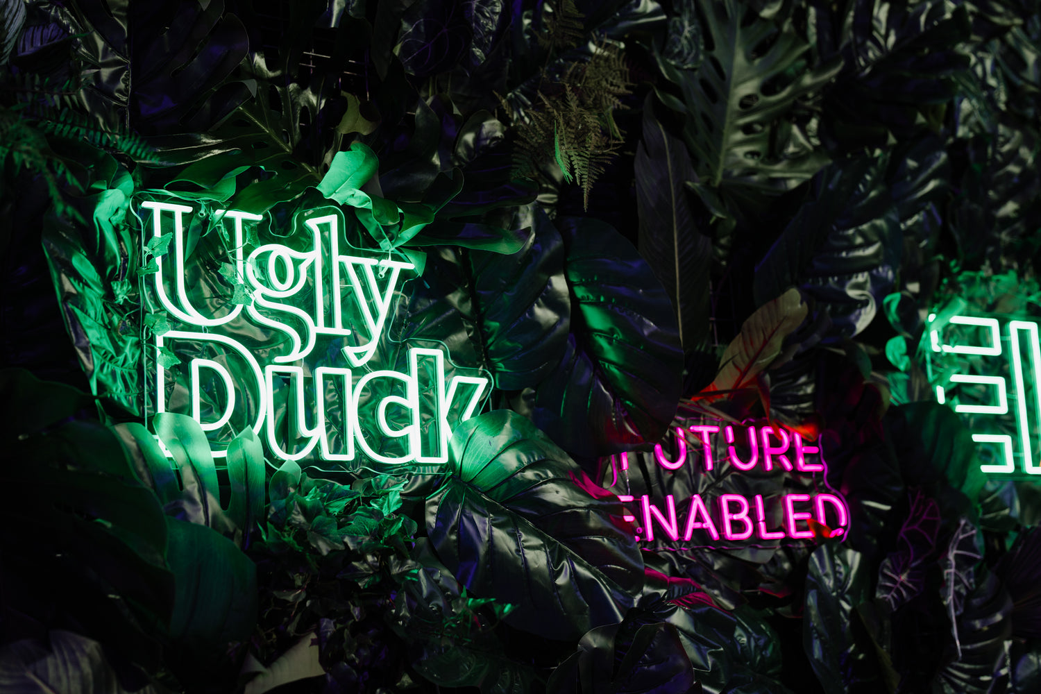 neon led ugly duck future enabled