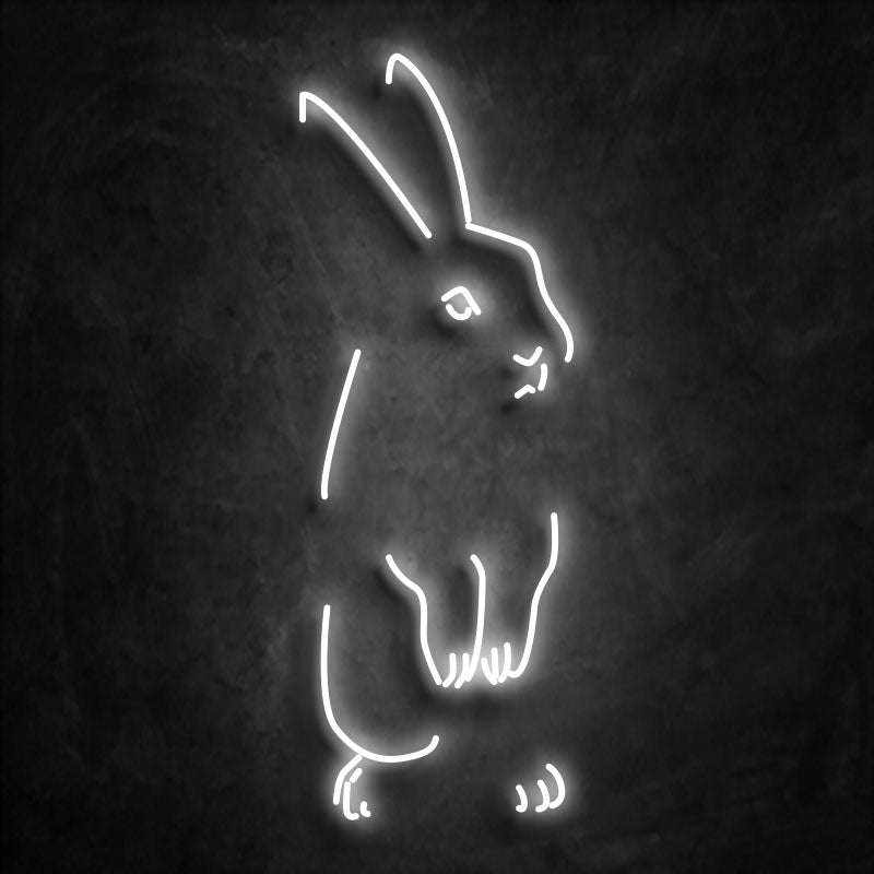 neon lapin blanc