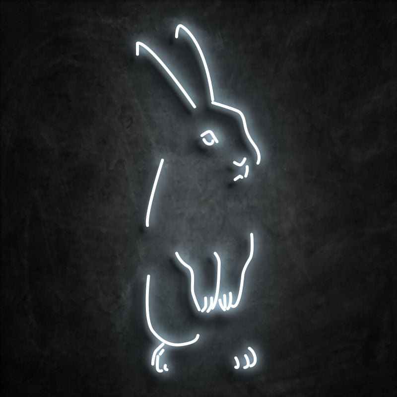 Néon lapin blanc cassé