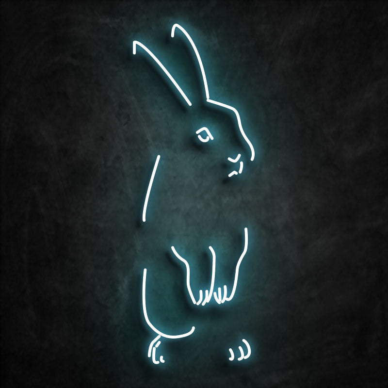 Néon lapin bleu ciel
