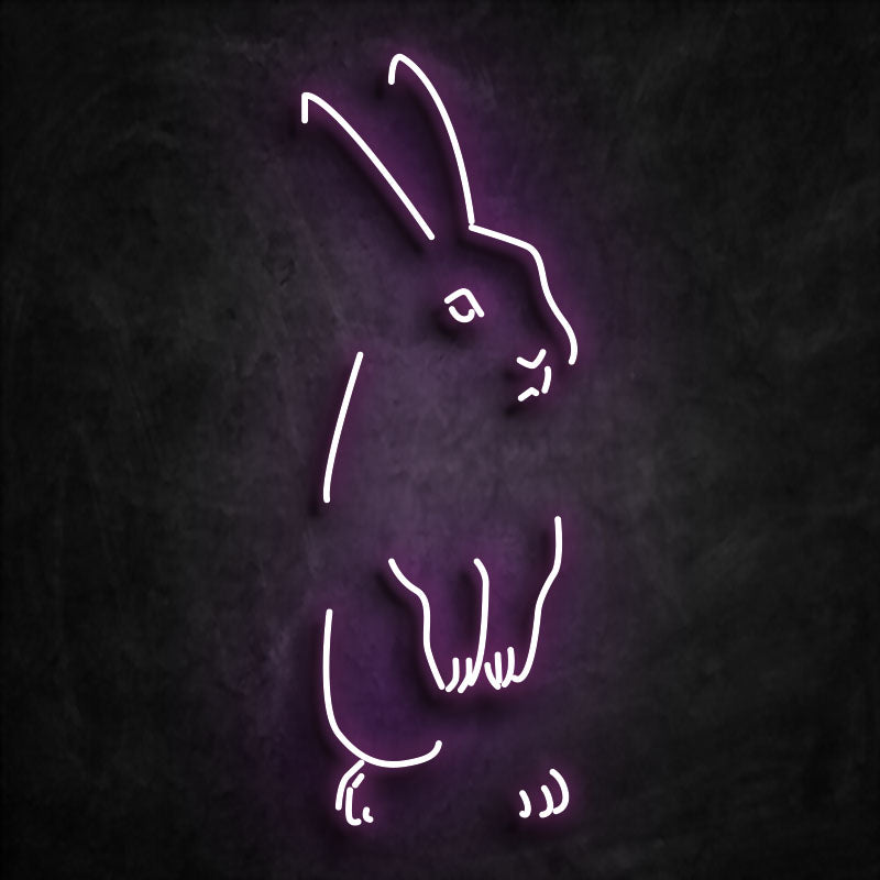 Néon lapin rose