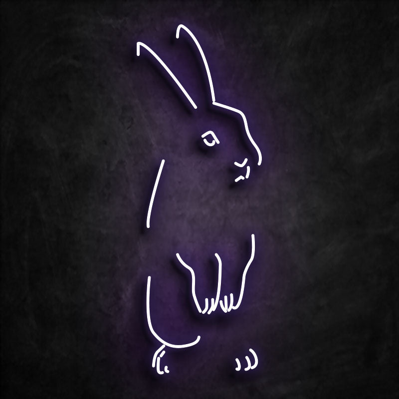 Néon lapin violet