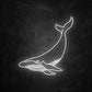 neon baleine blanc