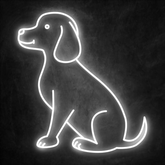 neon chien blanc