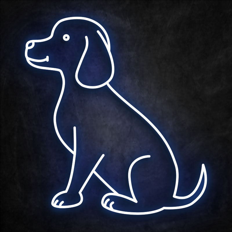 néon chien bleu