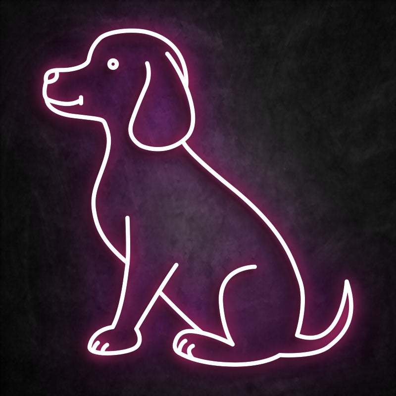 néon chien violet