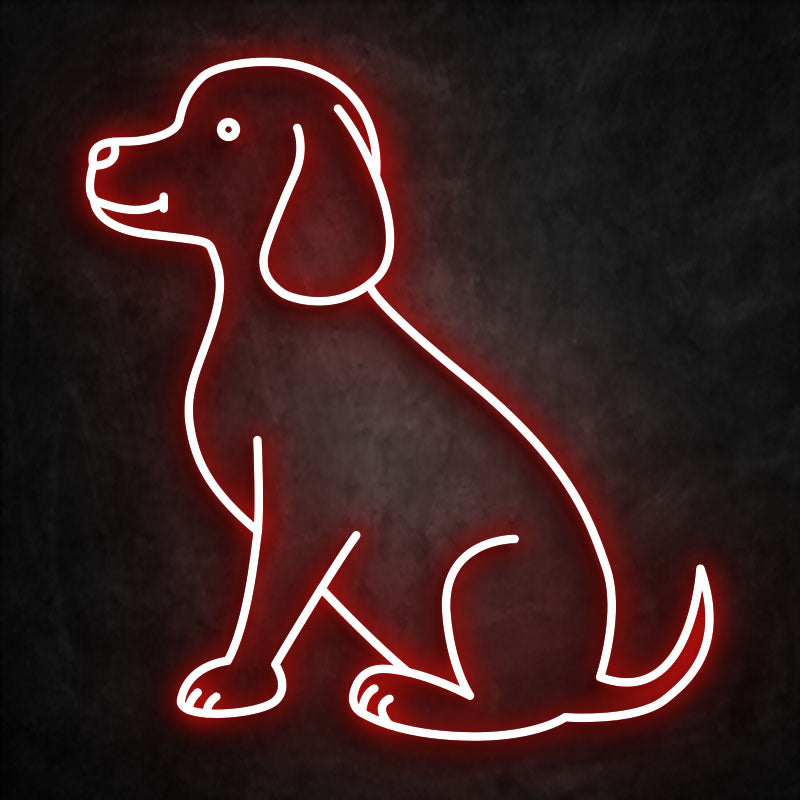 néon chien rouge