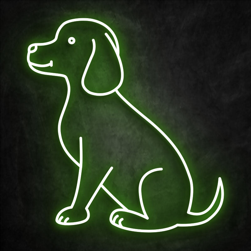 néon chien vert