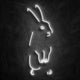neon lapin blanc