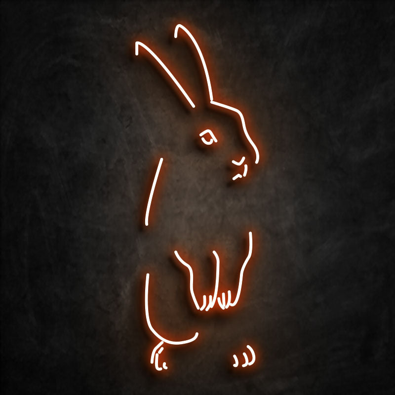 Néon lapin orange