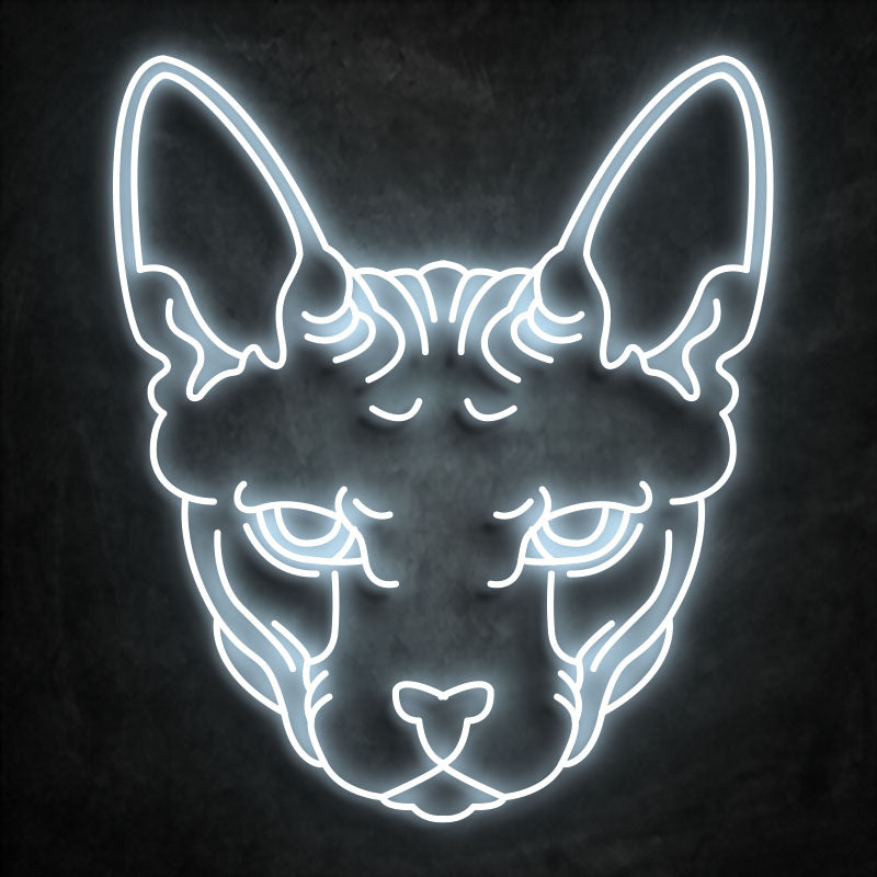 neon sphinx coldwhite 