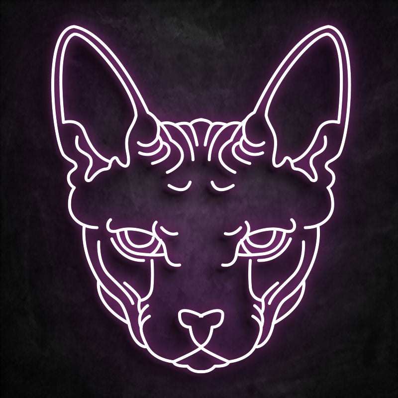 neon sphinx darkpink