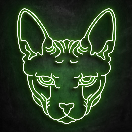 neon sphinx vert