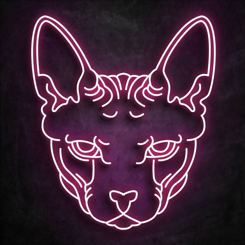 neon sphinx pink